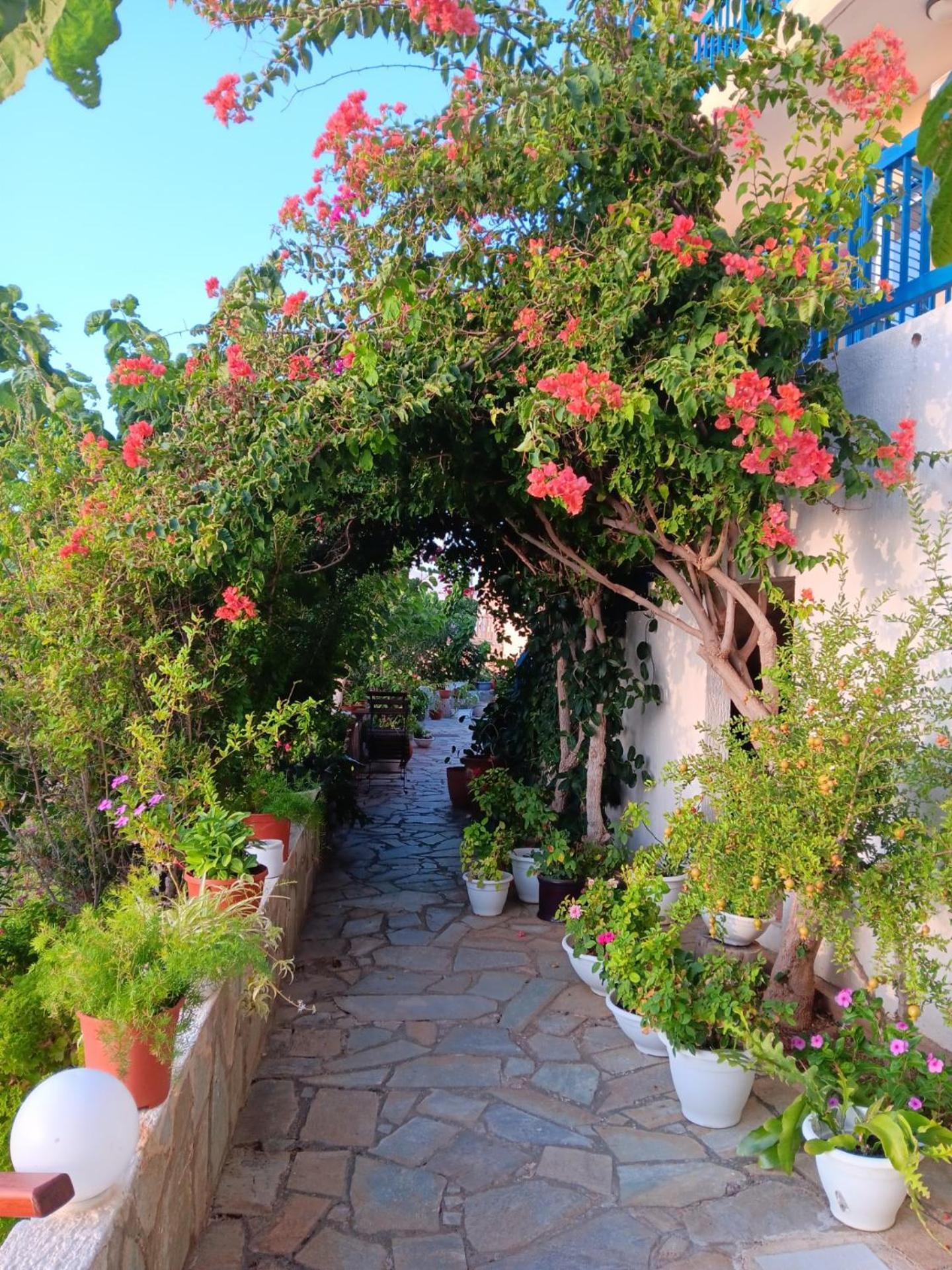 Mourayio Apartments Pomos Exterior photo